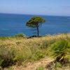 Silke-Mallorca