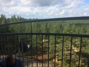 Hotel Simpsionkullas in Lapua, image may contain: Tree, Vegetation, Railing, Shelter