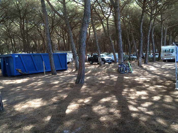 CAMPING PIONIER ETRUSCO - Campground Reviews (Montalto di Castro, Italy)