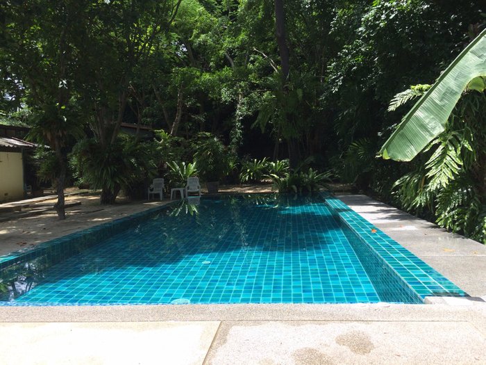 A Lovely Oasis in the Heart of Soi Taied Fighter's Street, Phuket -  Review of Fern House Retreat, Chalong, Thailand - Tripadvisor