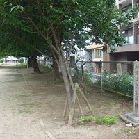 公園内