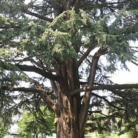 Parco Frizzoni