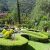 JARDIM dos PINHAIS