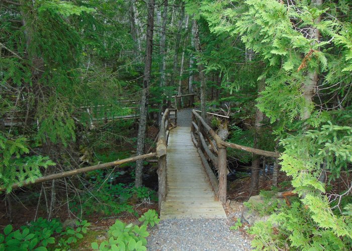 one of the many rustic wooden bridges found along their two trails. GORGEOUS!