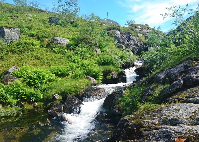 einer der kleineren Wasserfälle - nicht minder schön als seine großen Brüder