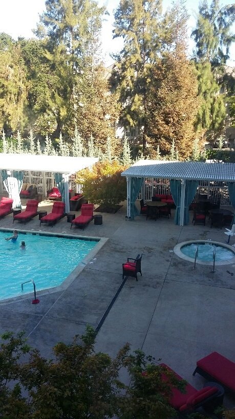 Pleasanton Marriott Hotel Pool Pictures & Reviews - Tripadvisor