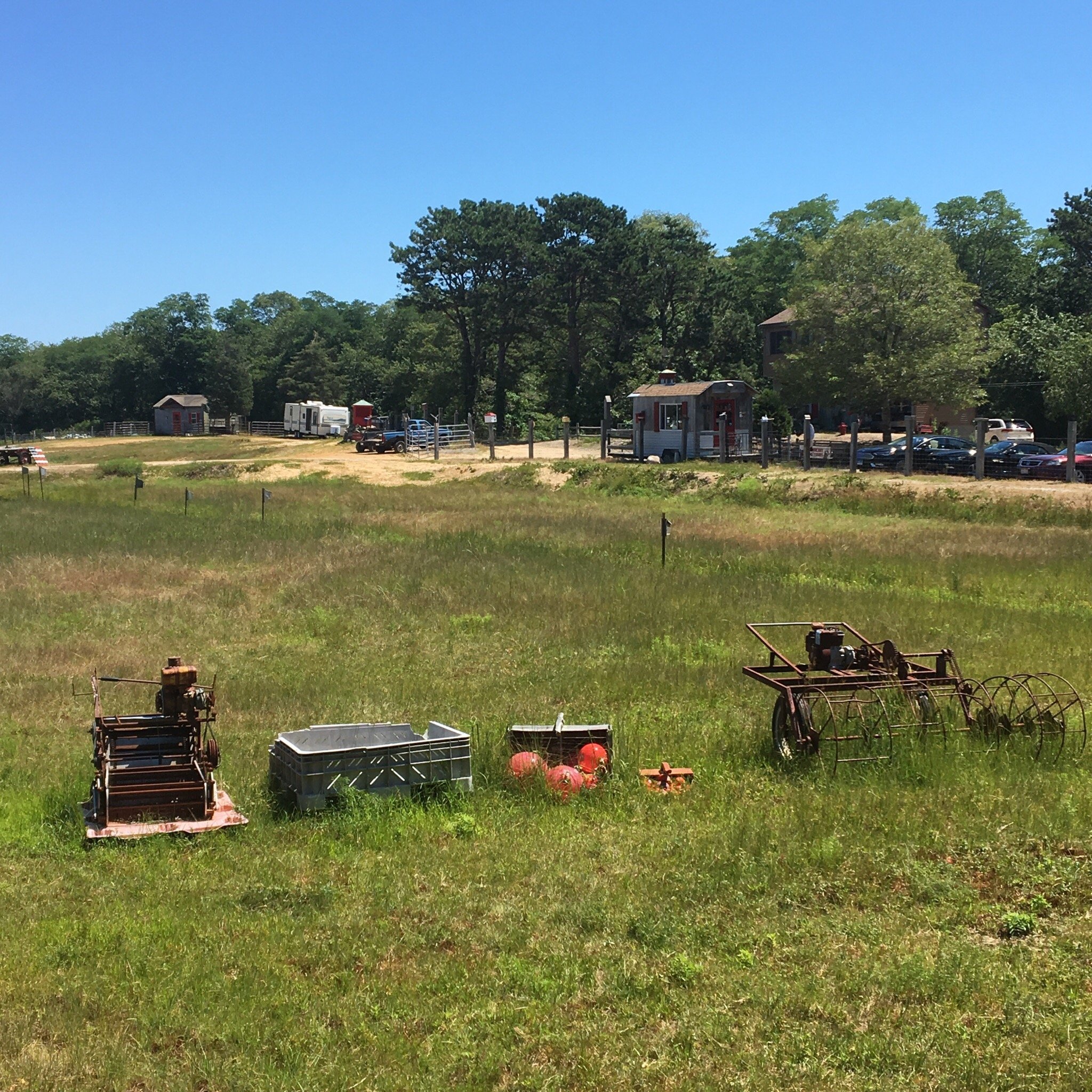 Cranberry Bog Tours