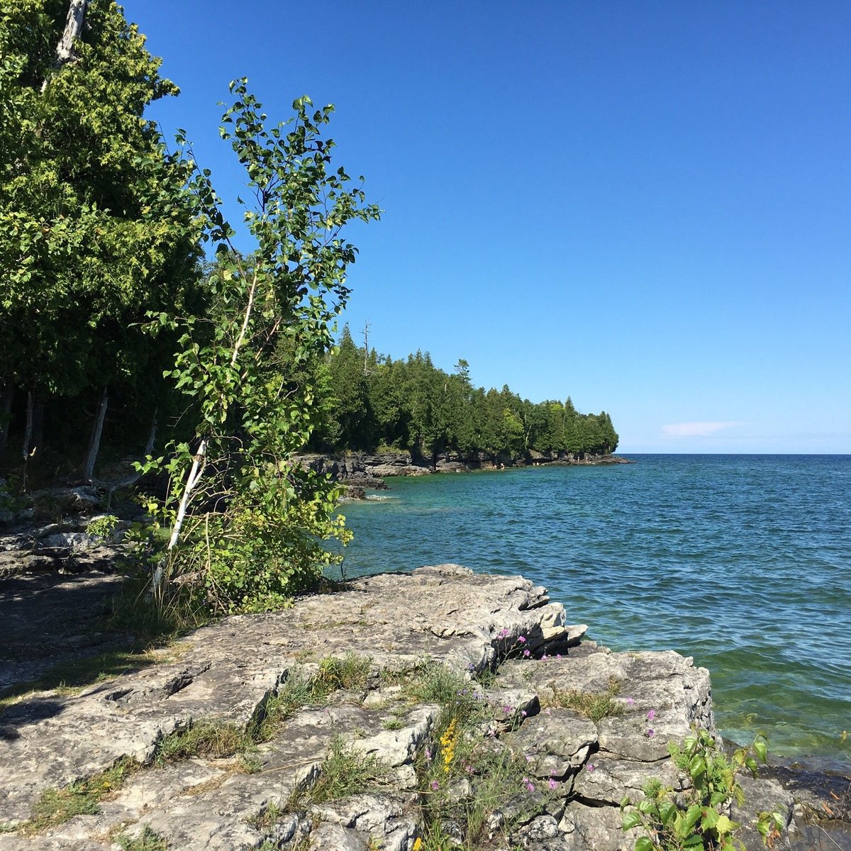 Whitefish Dunes State Park - All You Need to Know BEFORE You Go (2024)