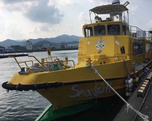 五島列島の水族館 五島列島の水族館をチェックする トリップアドバイザー