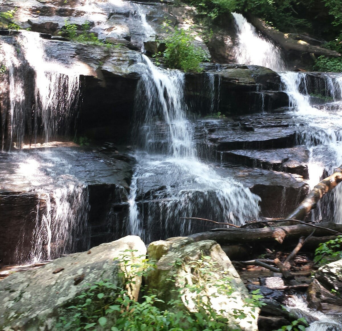 are dogs allowed at issaqueena falls