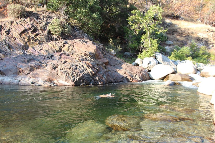 BUCKEYE FLAT CAMPGROUND Bewertungen & Fotos (Sequoia und Kings Canyon
