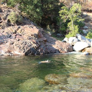 the stream near by