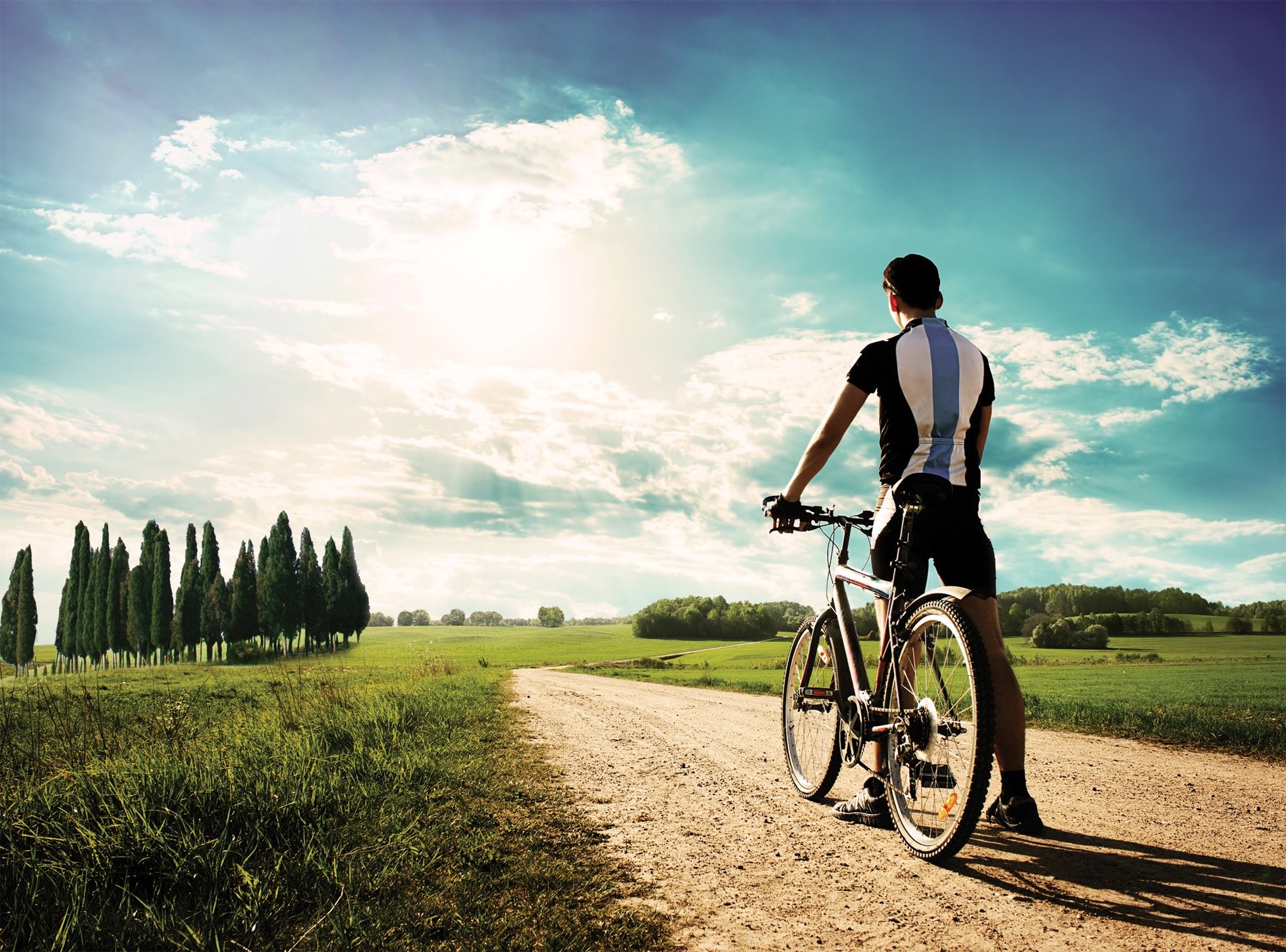 Biking Team Tripadvisor