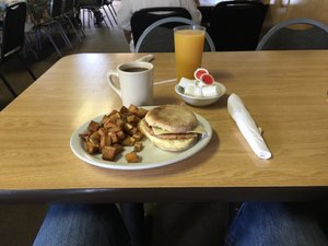 Cibo