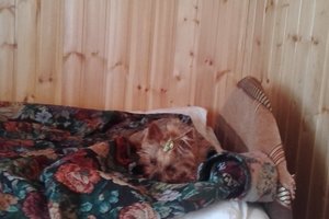 Номера и люксы