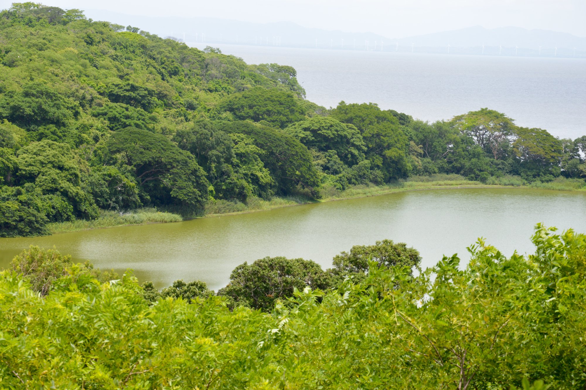 Laguna Charco Verde All You Need to Know BEFORE You Go 2024