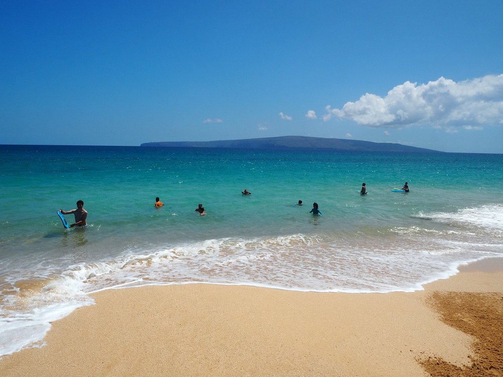 THE 15 BEST Things to Do in Maui (2024) MustSee Attractions