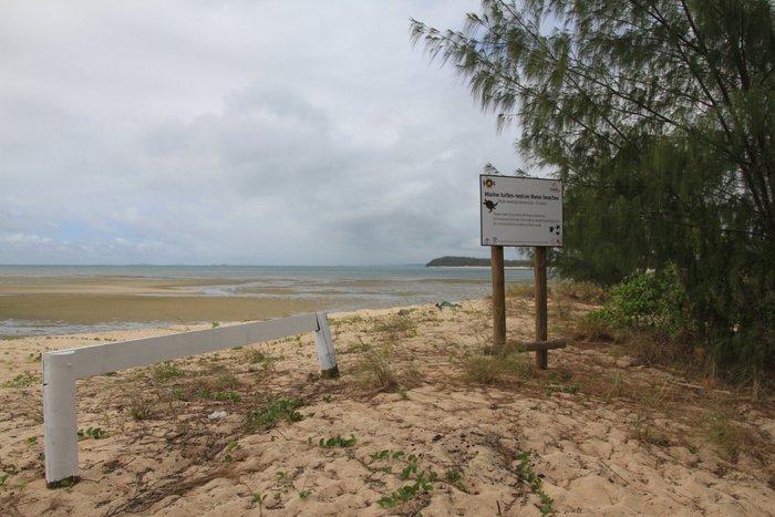 Mouth of the Jardine River