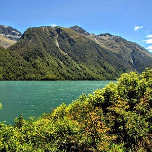 travel review nz
