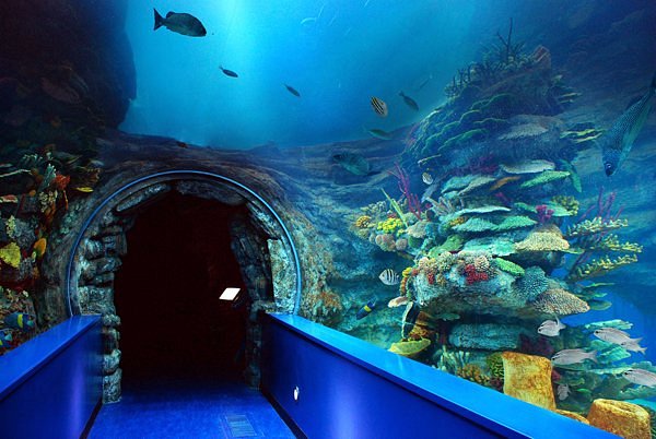Sharjah Aquarium image