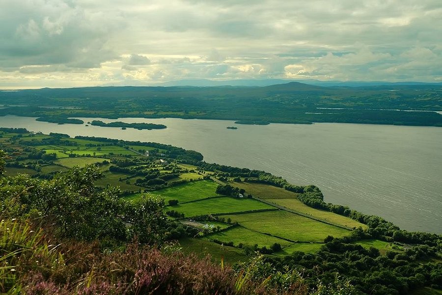 Lough Navar Forest Viewpoint image