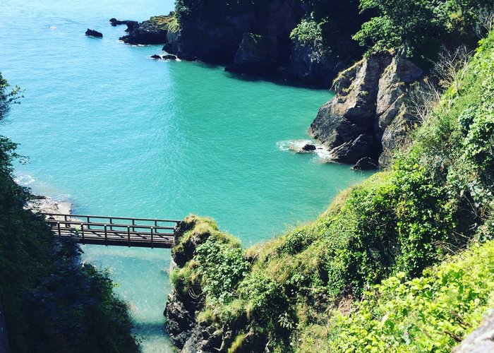 Dartmouth Castle