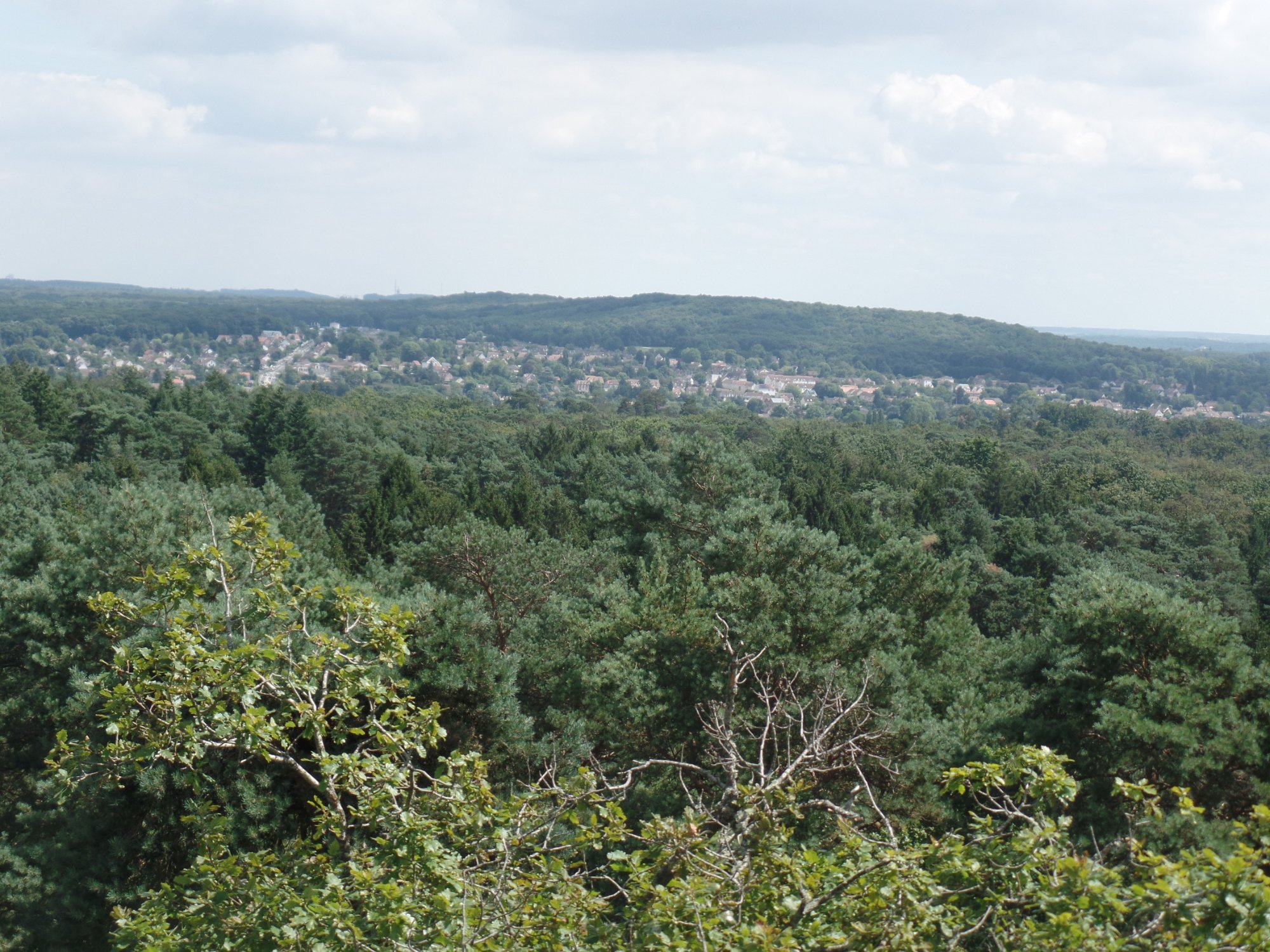 Forêt de Fontainebleau - 7989675741 - PICRYL - Public Domain