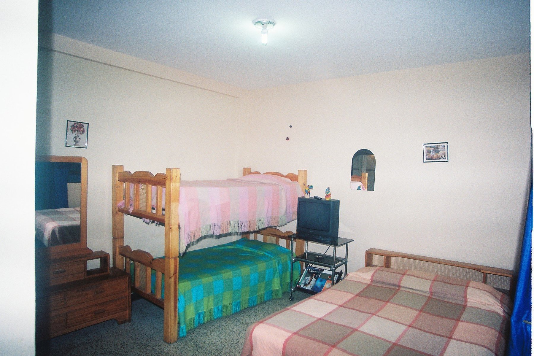 Posada and Tour Agency Yagrumo image