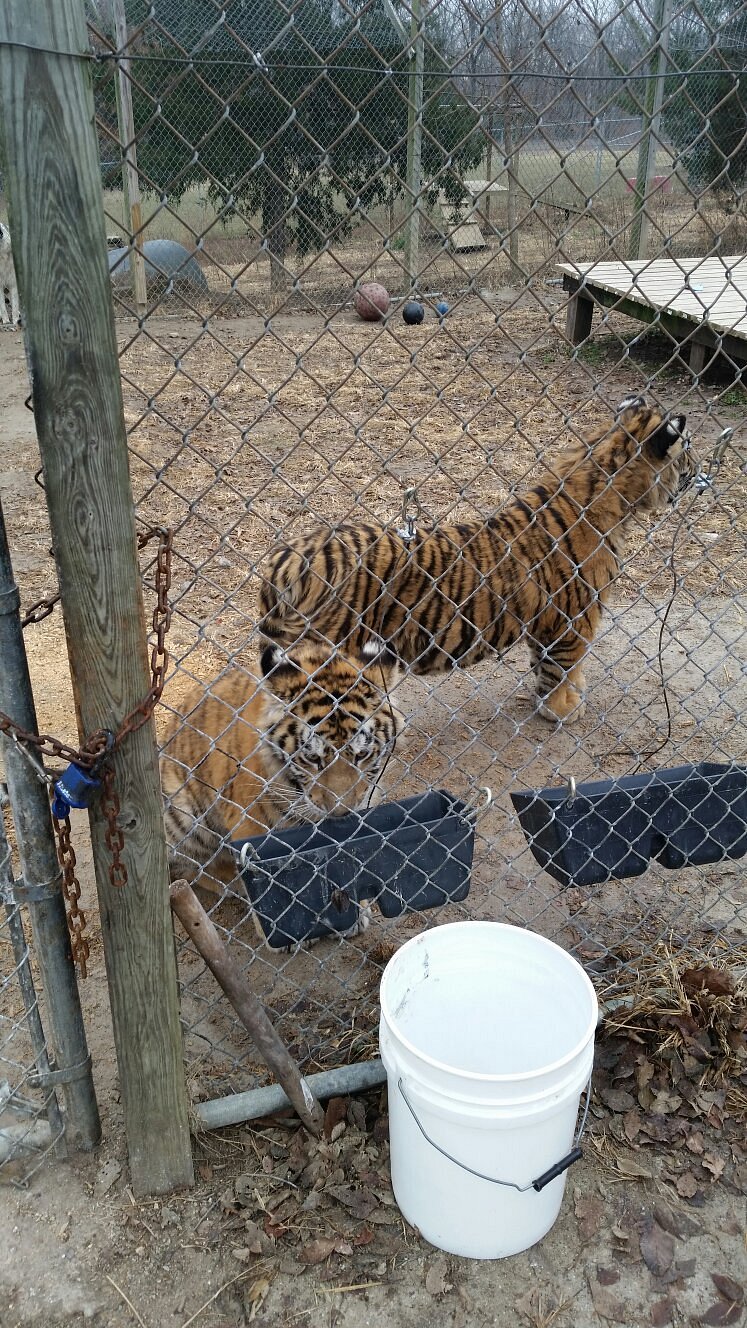 D&D Animal Sanctuary (Columbia) - All You Need to Know BEFORE You Go D&D Animal Sanctuary (Columbia) - All You Need to Know BEFORE You Go