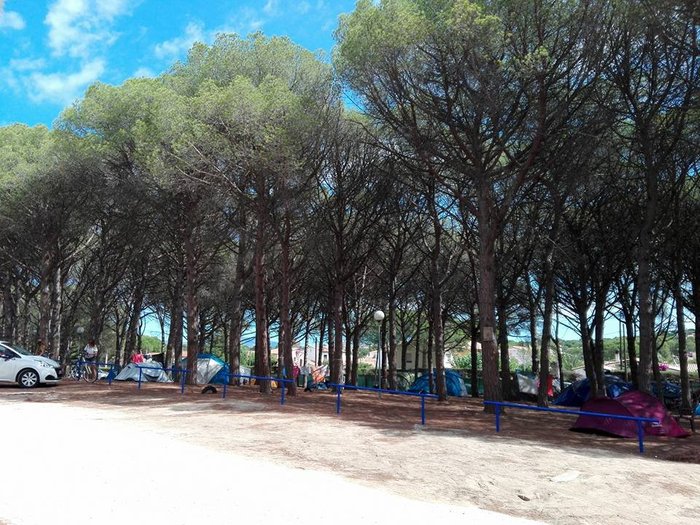 Imagen 1 de Camping Riells