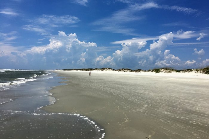 what nc beaches allow dogs