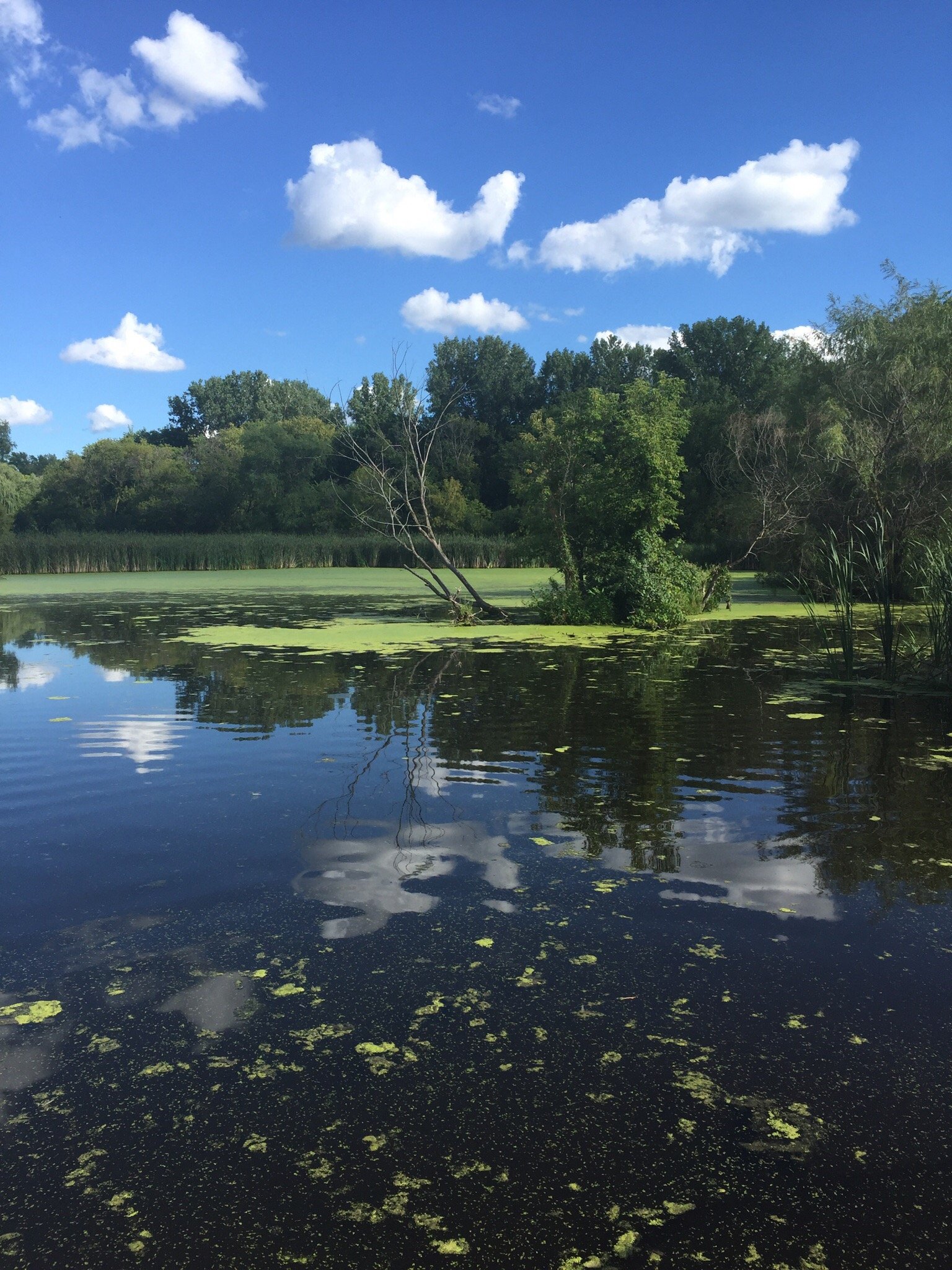 THE 10 BEST Minnesota Nature & Wildlife Areas (Updated 2024)