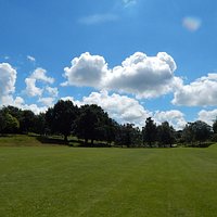 Playing field