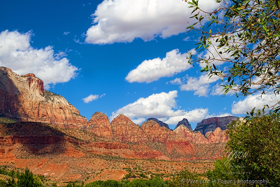 THE 5 BEST Zion National Park Scenic Drives (Updated 2024)