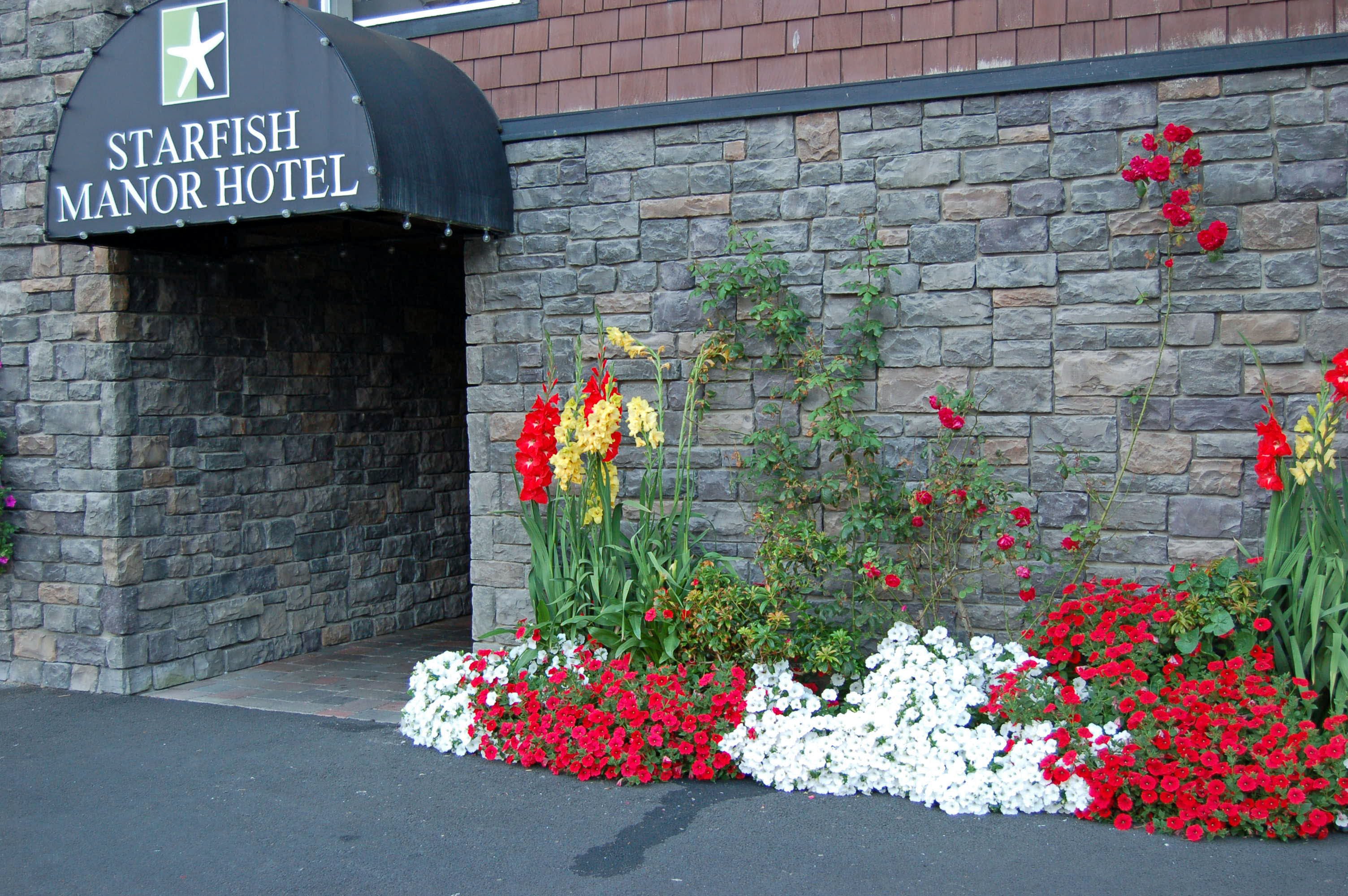 Hotel photo 7 of Starfish Manor Oceanfront Hotel.