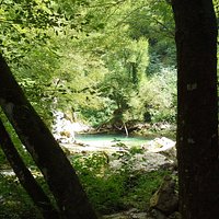 Paradiso
