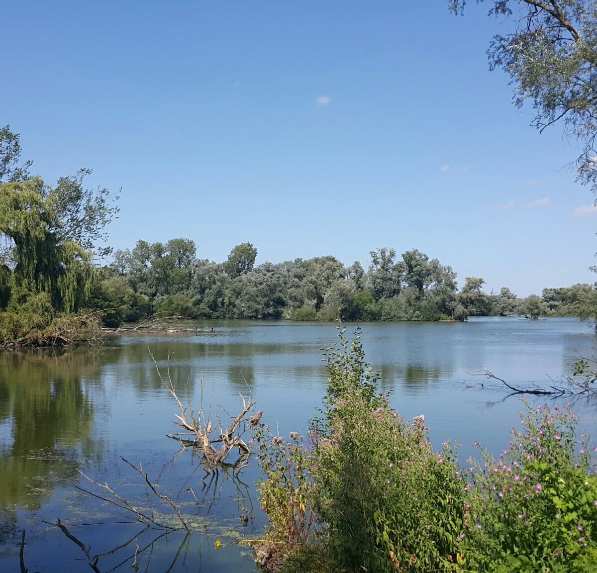 Paxton Nature Reserve - Khám Phá Khu Bảo Tồn Thiên Nhiên Đặc Sắc