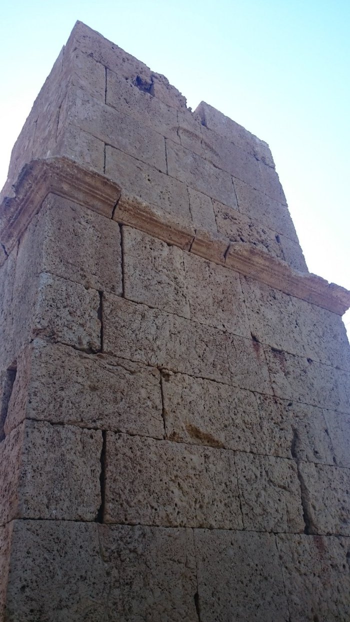 Imagen 9 de La Torre de Los Escipiones
