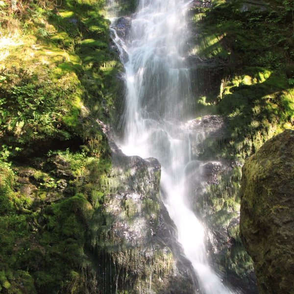 THE BEST Restaurants Near Merriman Falls (Updated 2025)