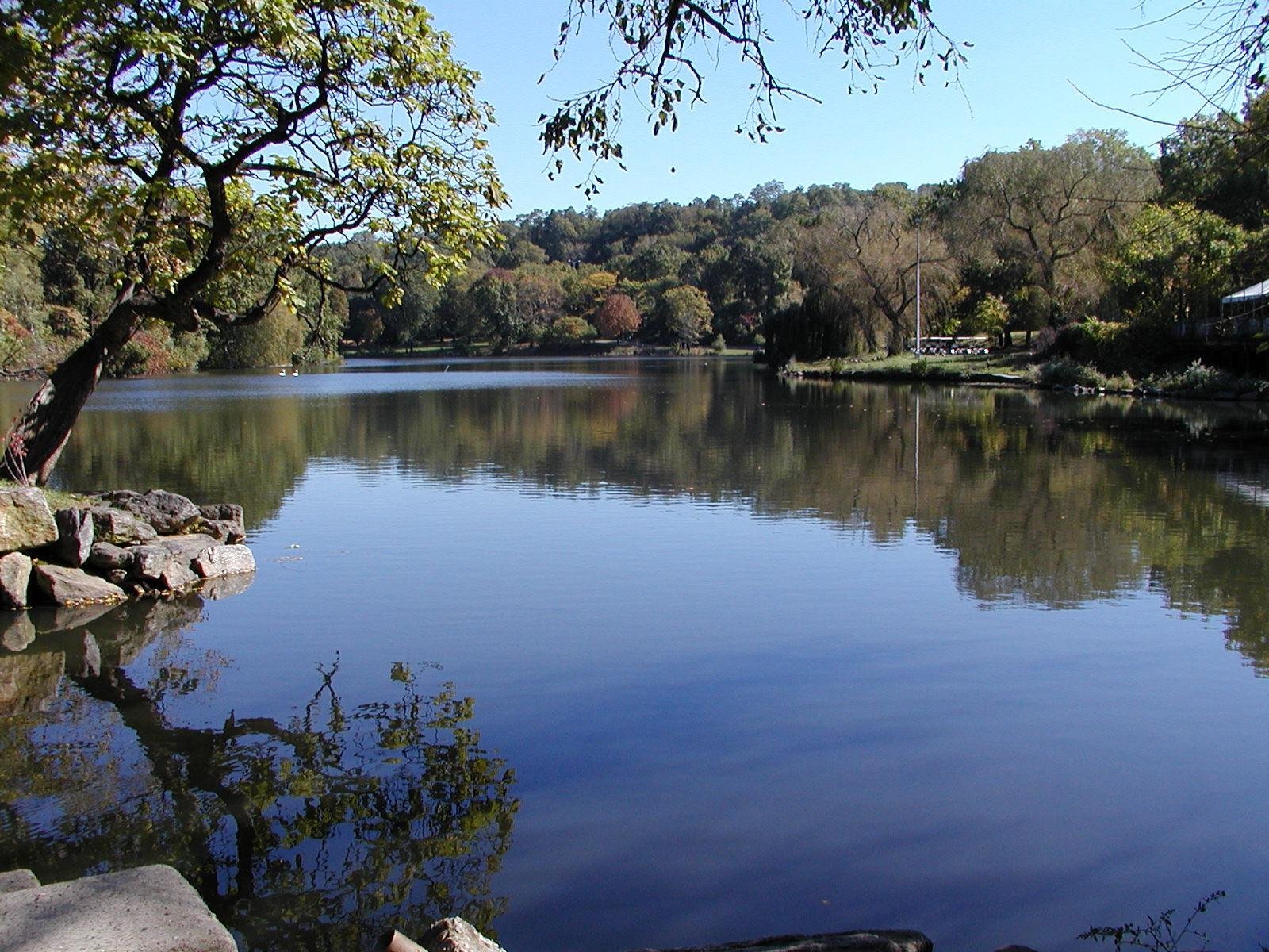 van-cortlandt-park-lake.jpg