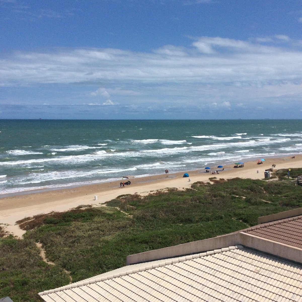 FLORENCE CONDOS - Prices & Condominium Reviews (South Padre Island, TX)