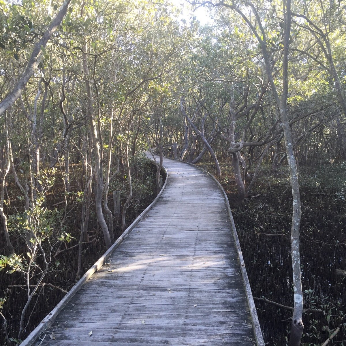 Hunter Wetlands National Park (Tomago): All You Need to Know