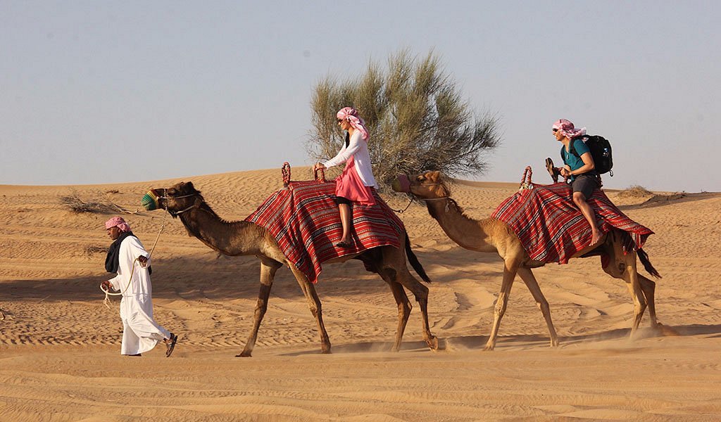 Верблюды в оаэ. Бедуины в ОАЭ. Дубай сафари верблюд. Dubai бедуины. Дубайский пустынный заповедник.