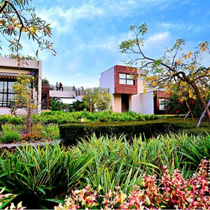 Country View & Forest View Suites