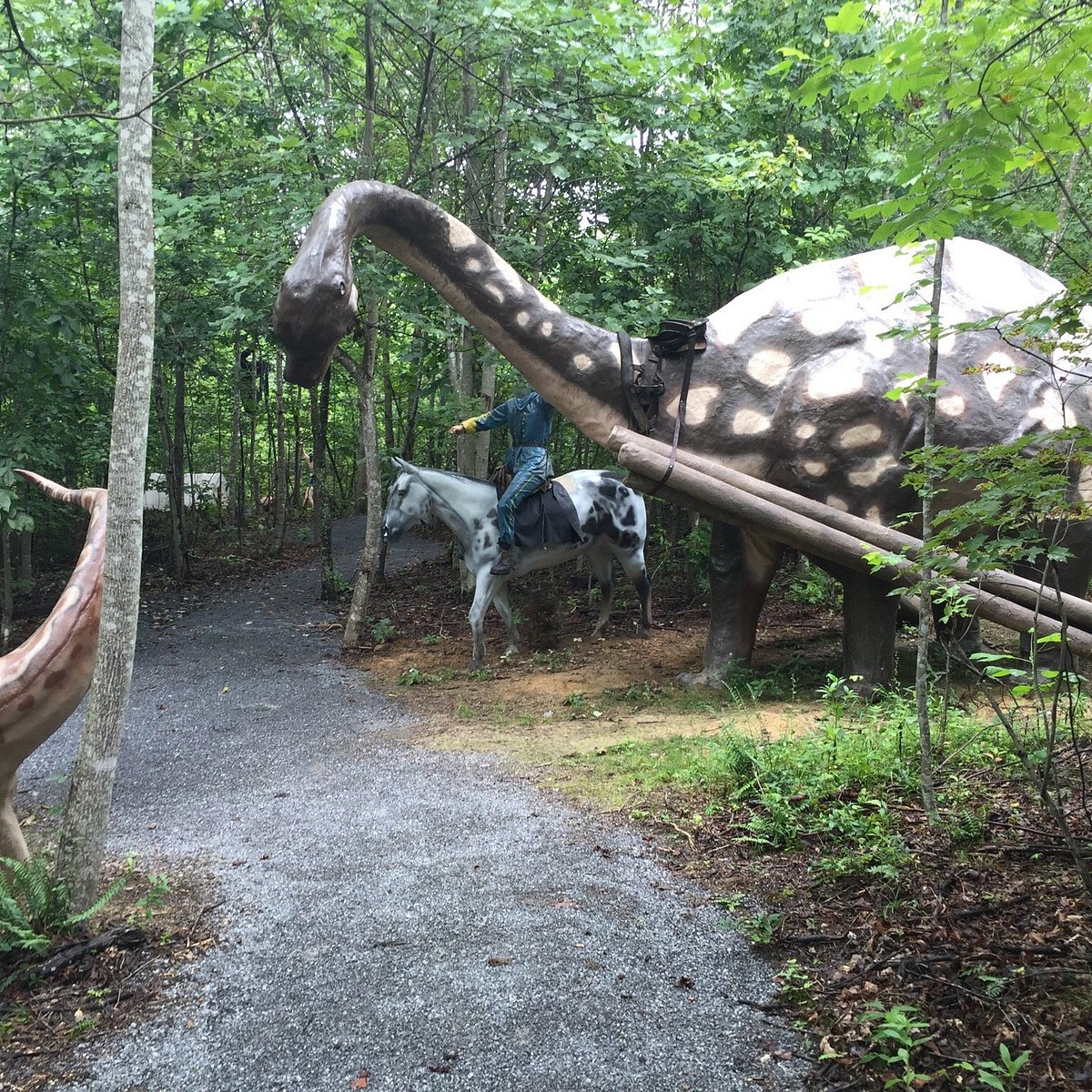 Dino May Garden Trail - Hall Place & Gardens