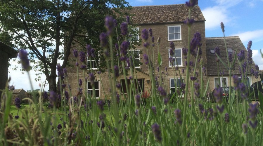 Greyfox House Bed & Breakfast
