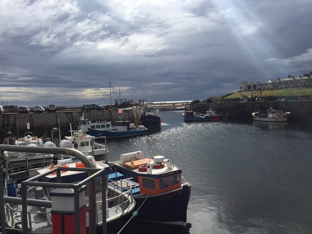 seahouses boat trips prices
