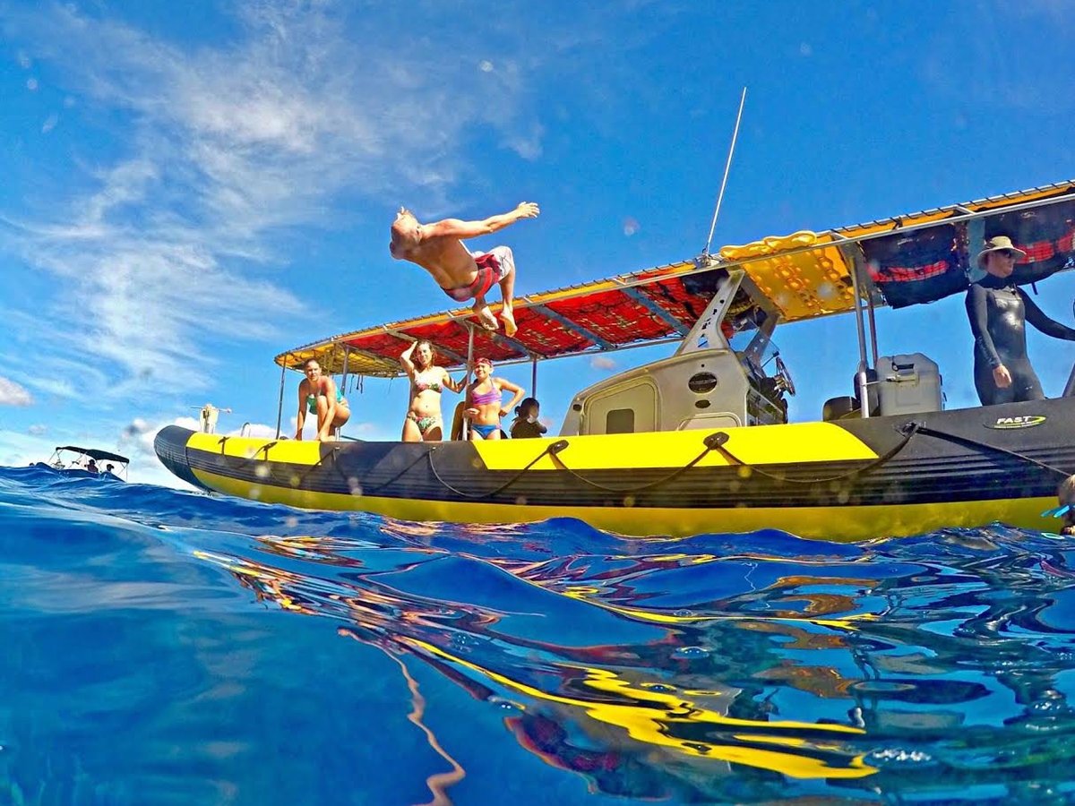 Maui Snorkel Charters (Kihei) - All You Need to Know BEFORE You Go