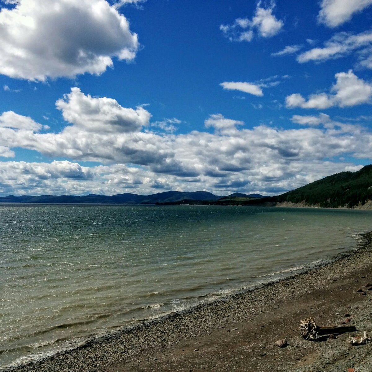 Miguasha National Park, Nouvelle