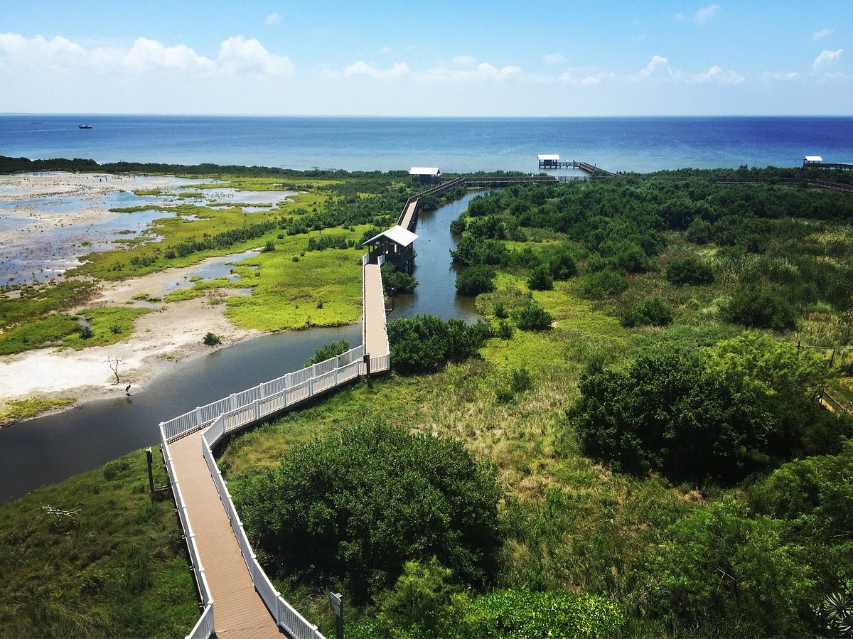 South Padre Island Birding and Nature Center - All You Need to Know BEFORE  You Go